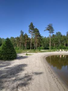 eine unbefestigte Straße neben einem Wasserkörper in der Unterkunft Tammemarise in Mändjala