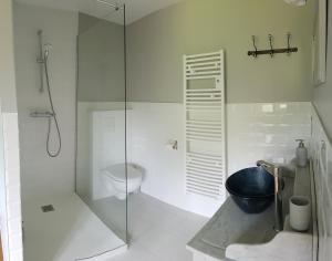 uma casa de banho com uma cabina de duche em vidro e um WC. em les chambres de Marthe em Mesnay