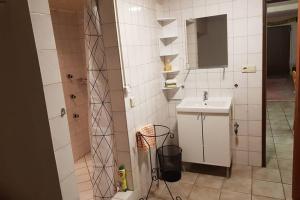 Ferienwohnung und Monteurwohnung mit großer begehbarer Dusche في لونن: حمام مع حوض ودش مع مرآة