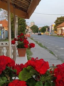 a street with red flowers on a porch at Penzión KORMOŠ in Štúrovo