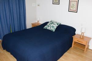 una camera con letto blu e cuscino di Les saules a Domalain