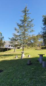 a park with benches and a tree in the grass at Casas de Raco in Raco