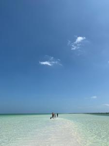 two people are walking on the beach with a surfboard at Casa Las Tortugas Petit Beach Hotel & Spa in Holbox Island