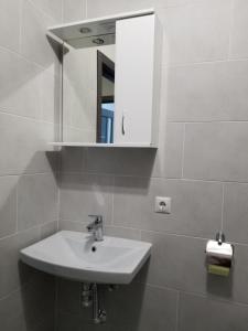 ein Badezimmer mit einem weißen Waschbecken und einem Spiegel in der Unterkunft Новая и уютная квартира в центре in Uschhorod