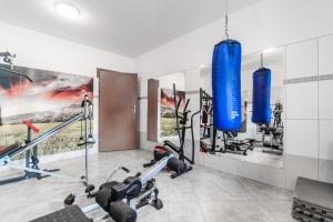 a gym with two blue punching bags and weights at Baron in Sztutowo