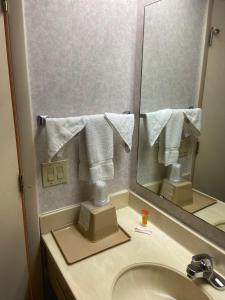 a bathroom with a sink and a mirror at Budget Inn Timmonsville in Timmonsville