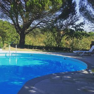 a blue swimming pool with a chair and a tree at Quinta Formosa in Vale Formoso