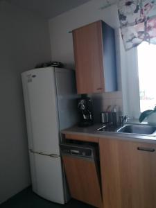 a small kitchen with a refrigerator and a sink at Apartament Leśny in Szczejkowice