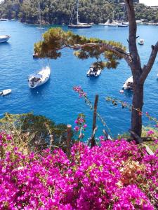 a view of a body of water with flowers and boats at Lo Chalet tra gli ulivi in Santa Margherita Ligure