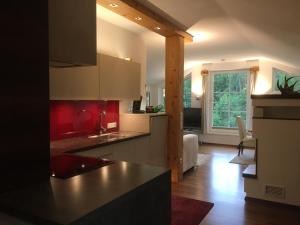 a kitchen with a counter top in a room at Appartementhaus Finis in Ramsau am Dachstein