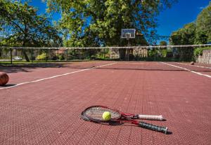 a tennis racket and a tennis ball on a tennis court at House of Hops in Pamarnakai