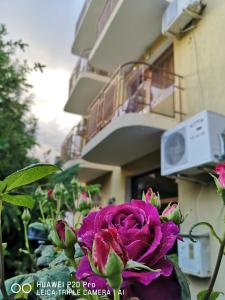 una rosa púrpura sentada frente a un edificio en Guest House "Zora - Sarafovo", en Burgas