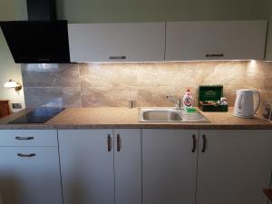 a kitchen counter with a sink and white cabinets at Villa Lucy in Rewa