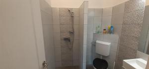 a bathroom with a shower with a toilet and a sink at Margaréta Apartman - Balatonlelle in Balatonlelle +79 photos