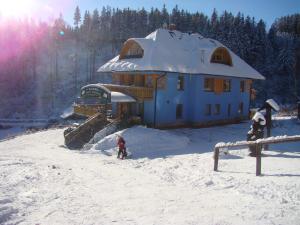 Hotel Vladimír v zimě