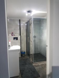 La salle de bains est pourvue d'une douche et d'un lavabo. dans l'établissement Villa Lucy, à Rewa