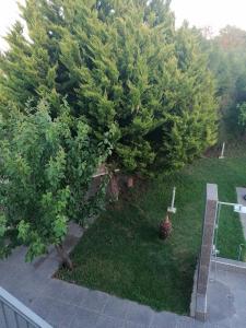 Zahrada ubytování Villa Angela