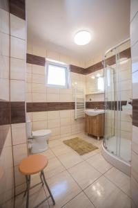 ブワディスワボボにあるPokoje Gościnne Dorotaのバスルーム(トイレ、洗面台、シャワー付)