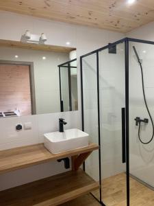 ein Badezimmer mit Waschbecken und Dusche in der Unterkunft Del sol in Pogorzelica + 25 Fotos