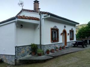 Las RozasにあるCasa la Pontigaの鉢植えの白屋