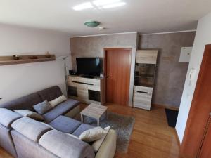 ein Wohnzimmer mit einem Sofa und einem TV in der Unterkunft Apartma NEVA in Bohinj