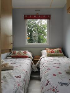 Un pat sau paturi într-o cameră la Rosebud Flower Farm Caravan Stay Countryside And Coast