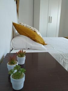 two potted plants on a table next to a bed at Casa de pueblo cerca de Gredos y Navaluenga in Navalmoral