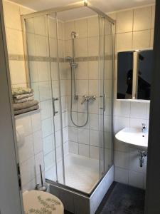 a bathroom with a shower and a toilet and a sink at Ferienhaus Knappensee in Lohsa