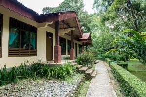 Ecolodge Bukit Lawang في بوكيت لاوانج: منزل في الغابة مع مسار يؤدي إليه