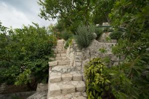 a stone wall with plants on top of it at Apartmani Galić in Ploče