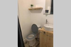 bagno con servizi igienici e lavandino di Charmant petit studio en centre ville a Bastia