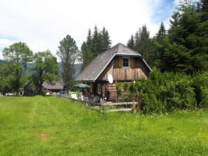 フェルラッハにあるAlmhütteの緑草原の丸太小屋