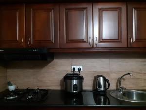 a kitchen counter with a coffee pot on a stove at Spencer Holiday Apartments/Seagull complex in Nuwara Eliya