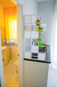 ein Badezimmer mit einer Theke mit einer Pflanze darauf in der Unterkunft La casa di pasqui in SantʼAntonio Abate