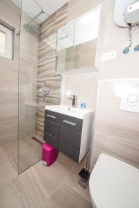 ein Bad mit einem Waschbecken, einem WC und einer Dusche in der Unterkunft Apartmani Por in Vir