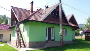 a house being painted green with a metal roof at Family&Friends in Ceahlău