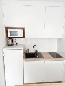 Kuchyň nebo kuchyňský kout v ubytování Apartment Prancic