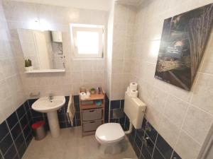 Koupelna v ubytování Apartment Prancic