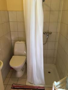 a bathroom with a toilet and a shower curtain at Vahtra Vacation Houses in Käsmu