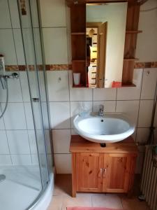 y baño con lavabo y ducha. en Auerberg Blick, en Hainfeld