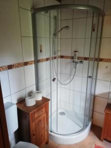 baño con ducha y puerta de cristal en Auerberg Blick, en Hainfeld