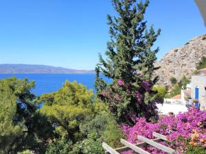 Táj Show holiday homes közelében