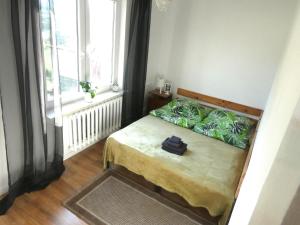 1 dormitorio con cama y ventana grande en Bezpieczna Przystań - Apartamenty en Uherce Mineralne