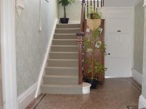 a hallway with stairs with potted plants at Owl House in Redruth