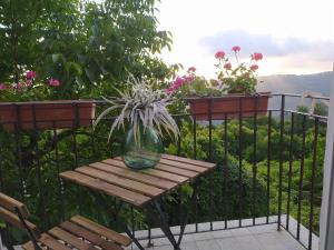 Gallery image of KISS from CILENTO in Celso +9 photos