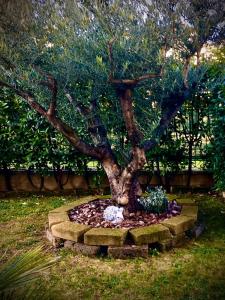 A garden outside Residenza Il Fiore