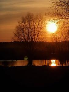 una puesta de sol sobre un cuerpo de agua con árboles en Landhotel kreien en Kreien