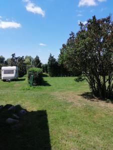 a caravan parked in a field next to a tree at Landhotel kreien in Kreien