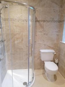 a bathroom with a toilet and a glass shower at Inspiration Lodge in Anascaul