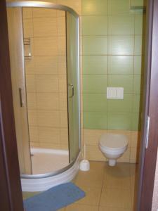 Ένα μπάνιο στο Pokoje typu Studio OLSZYNA 27